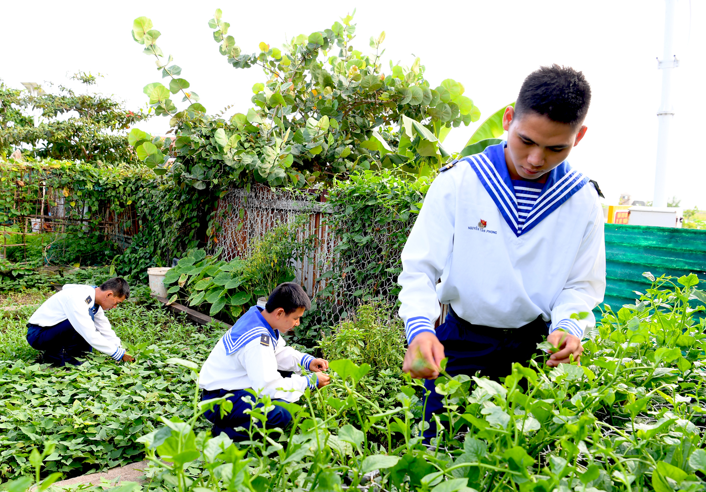 Tăng gia “trên biển”